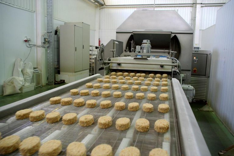 Frozen Foods Production