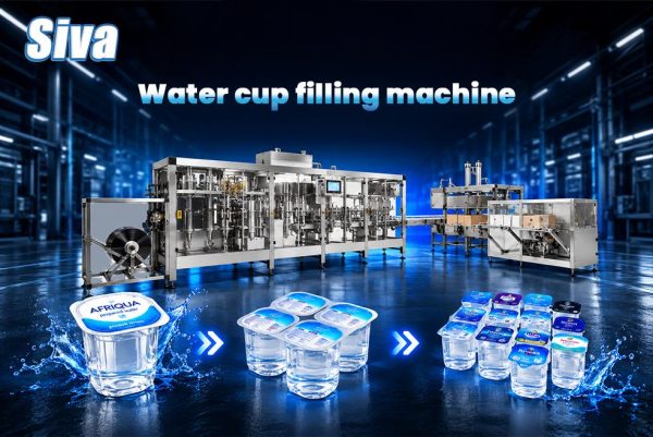 Water cup filling machine
