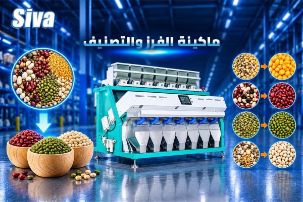 الفرز والتصنيف