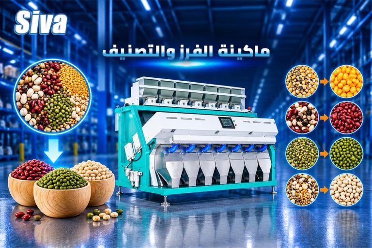 الفرز والتصنيف