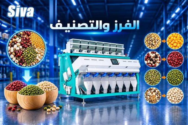 الفرز والتصنيف